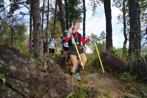 BIB: 
                            <button type="button" onclick="openModal(18964894)" class="btn btn-primary btn-sm float-right btn-popup" data-toggle="modal" data-target=".modal-high-quality">
                        <i class="fas fa-shopping-cart"></i> Add to Cart
                    </button>
                                            <button type="button" onclick="isThisMe(18964894, true)" class="btn btn-success btn-sm float-right btn-popup btn-isme hidden" data-toggle="tooltip" data-placement="bottom" title="นี่คือรูปของคุณใช่ไหม คลิกที่นี่เพื่อเอาเข้าอัลบั้ม">
                        <i class="fas fa-plus"></i> Add to album
                    </button>
                    <button type="button" onclick="isThisMe(18964894, false)" class="btn btn-warning btn-sm float-right btn-popup btn-isnotme hidden">
                        <i class="fas fa-ban"></i> Remove from album
                    </button>